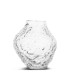 Vas Corallo S Clear