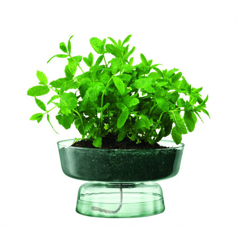 Självvattnande kruka Canopy 14,5cm